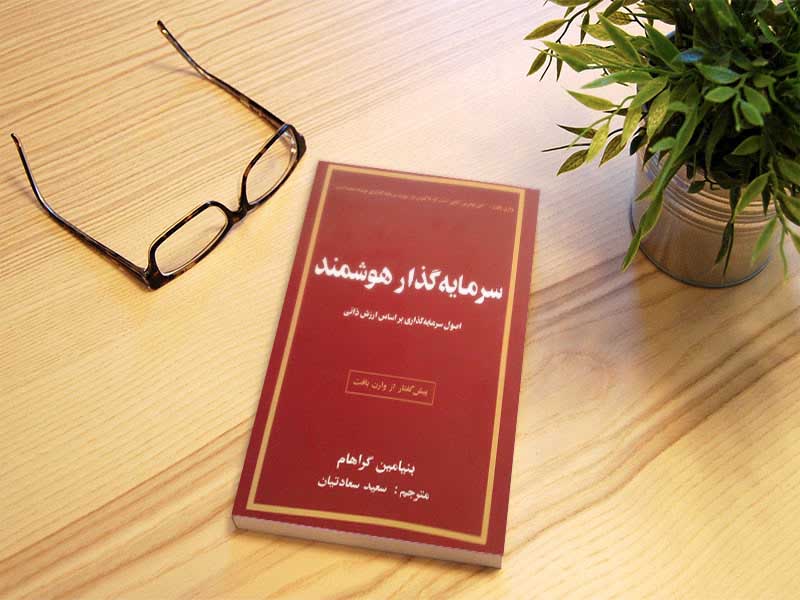 در سرمایه‌گذار هوشمند، بنجامین گراهام به مفهوم قیمت منطقی، ارزش‌گذاری سهام، مدیریت ریسک و اهمیت استفاده از تحلیل بنیادی و نه تنها تحلیل فنی، پرداخته است.