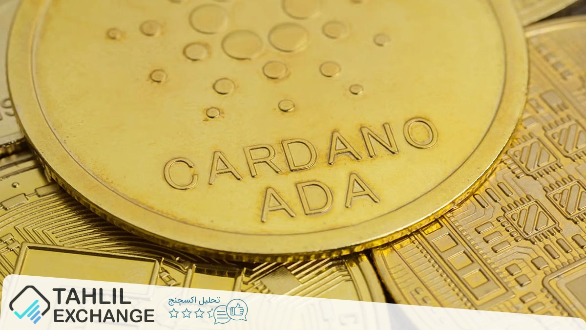 هارد فورک Plomin کاردانو: تغییرات حکومتی غیرمتمرکز و احتمال رشد قیمت ADA