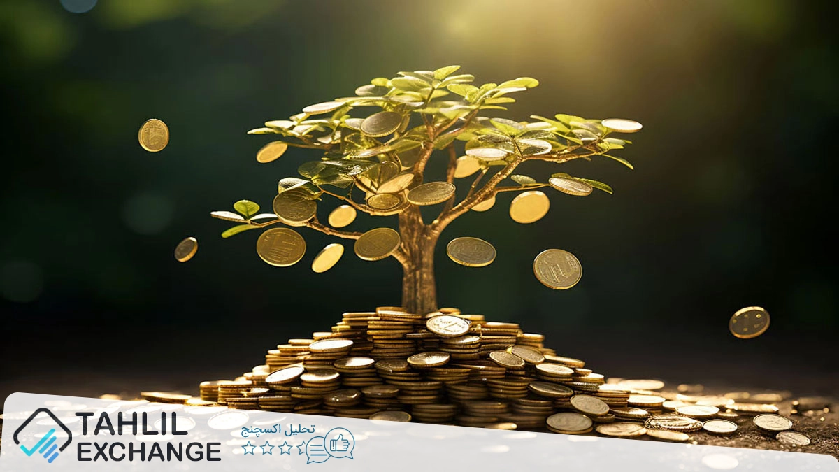 آیا فصل آلتکوینها در سال ۲۰۲۵ آغاز میشود؟ تحلیل وضعیت فعلی بازار