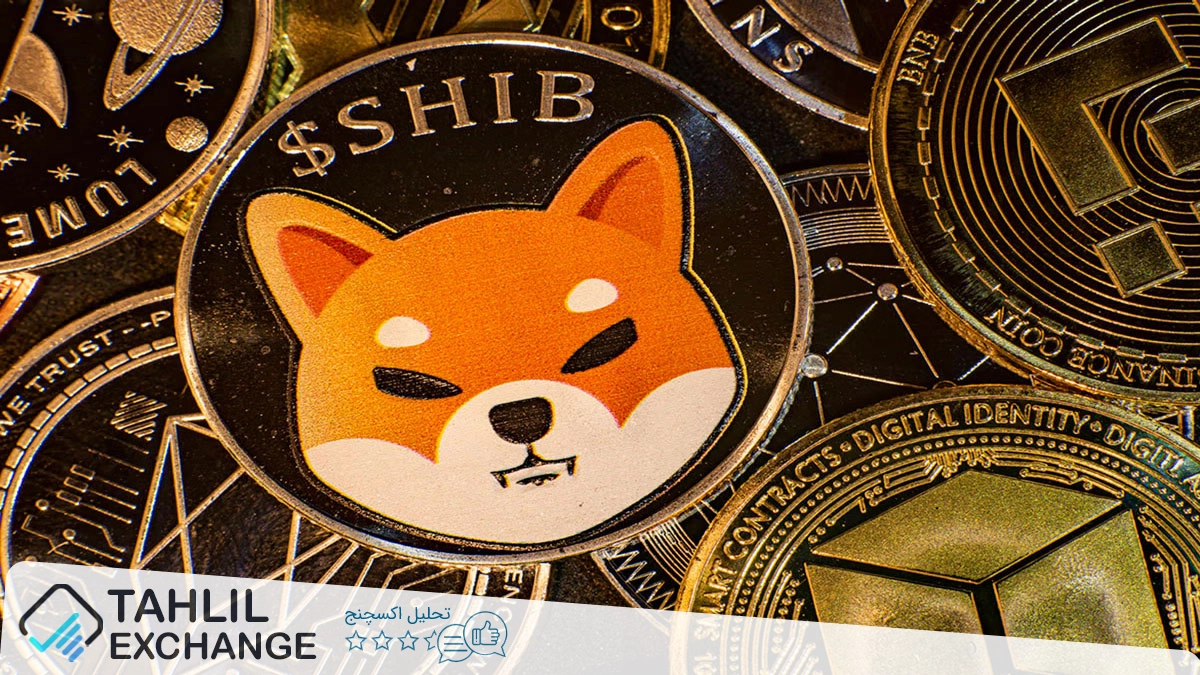 قیمت SHIB زیر حمایت کلیدی میرود؛ توکن سوزی کاهش یافته، آینده چیست؟