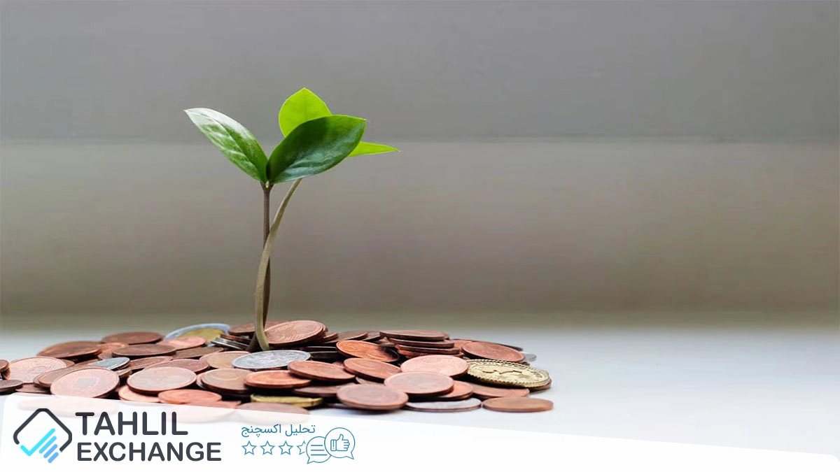میم کوین $PAIN سولانا با جذب 39.2 میلیون دلار رکورد زد