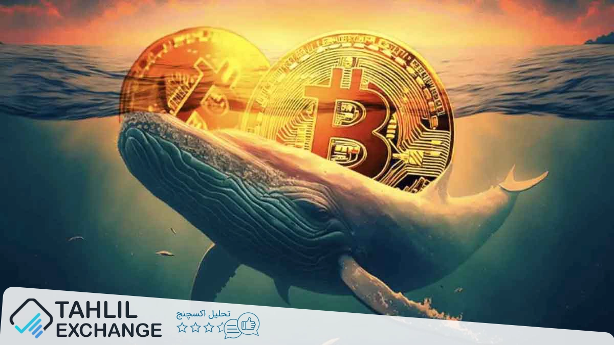 سود ۵۱.۸ میلیون دلاری نهنگ کریپتو پس از ۵ سال نگهداری بیتکوین