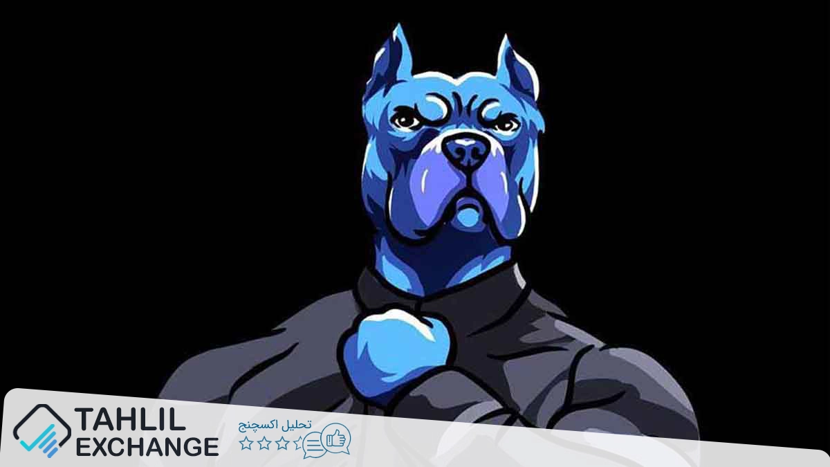 DOGINME با اعلام لیست شدن در کوینبیس 108% رشد کرد