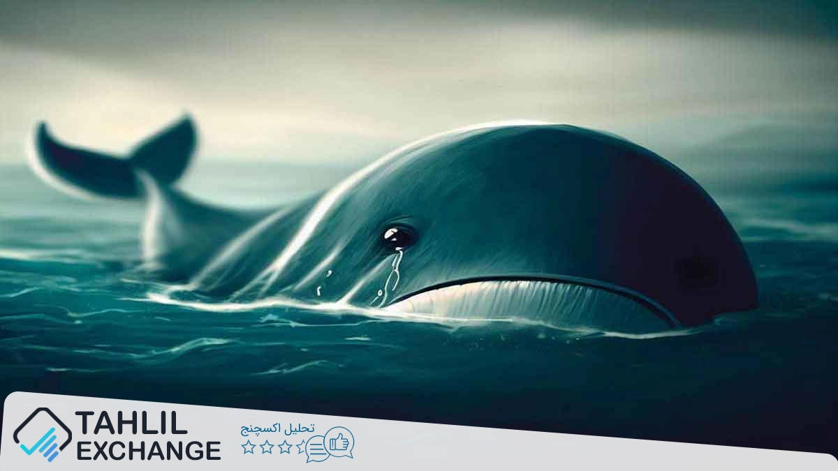 نهنگ کریپتو در تله: پوزیشن لانگ با لوریج 10 برابری در PEPE و ضرر سنگین