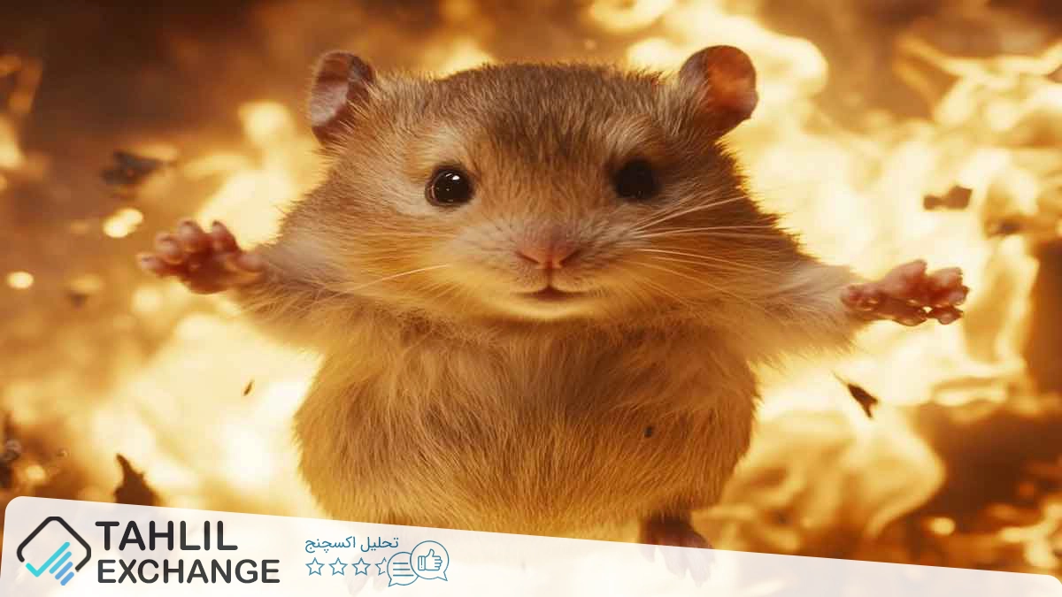 افزایش 17% قیمت Hamster Kombat (HMSTR): دلیل چیست؟