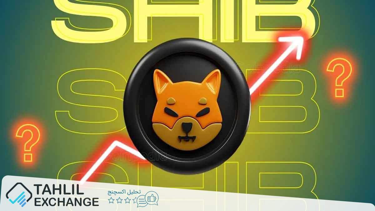 زمان خرید شیبا اینو فرا رسیده؟ افزایش ۲,۰۲۵ درصدی ورود نهنگها به SHIB