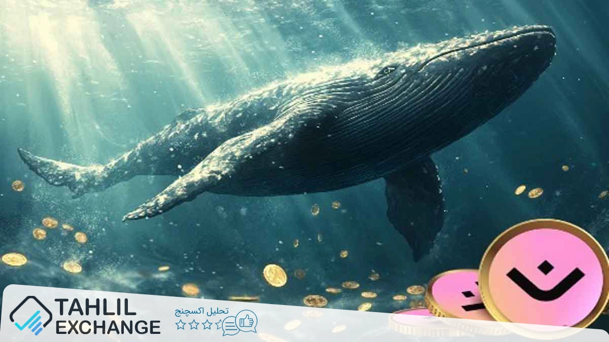 خرید شگفتانگیز نهنگها از مانترا (OM) و پیشبینی قیمت 10 دلار