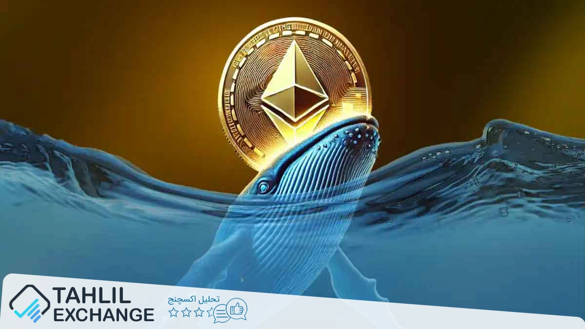 آیا زمان خرید اتریوم فرا رسیده است؟ نهنگها ۱۵,۵۶۳ ETH خریداری کردند