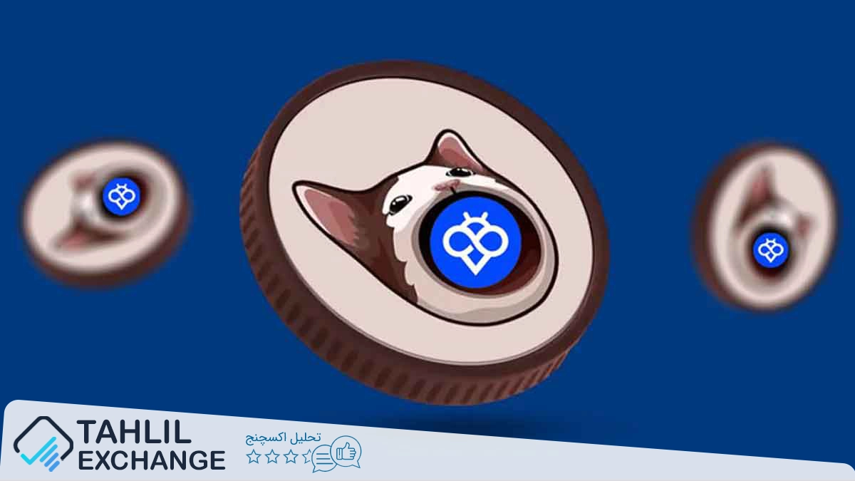 آموزش خرید میم کوین POPCAT از صرافی توبیت