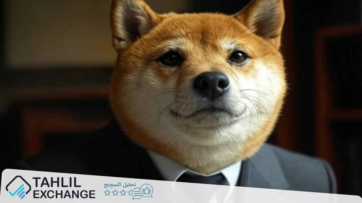 افزایش 12% قیمت دوج‌کوین، آغاز سفر DOGE به سوی 1 دلار؟