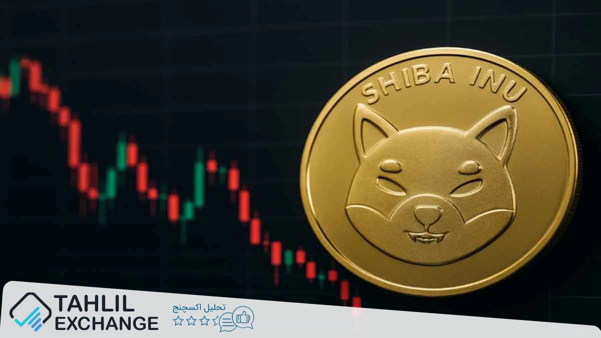 جهش ۶۵۶ درصدی توکن‌سوزی شیبا اینو؛ افزایش علاقه بازار با وجود افت قیمت