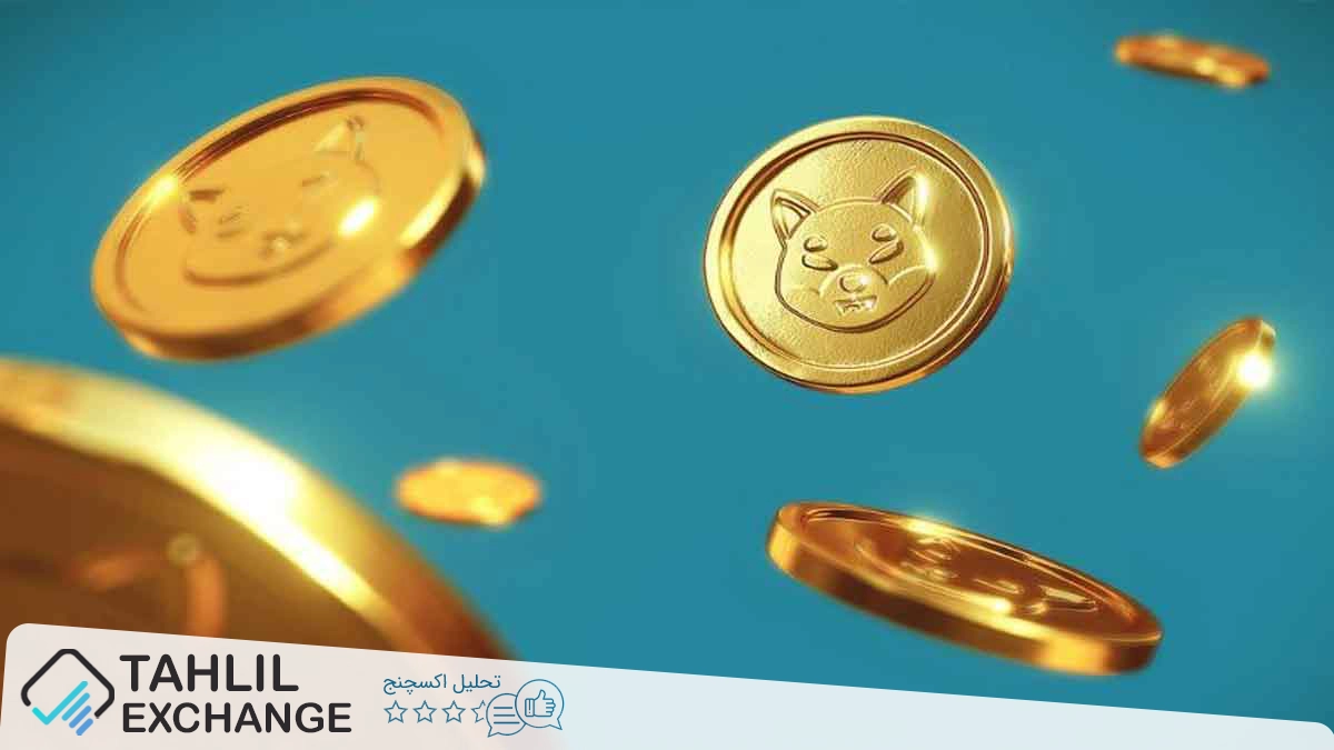 شیبا اینو یا دوج کوین: کدام یک برای سرمایه‌گذاری مناسب‌تر است؟