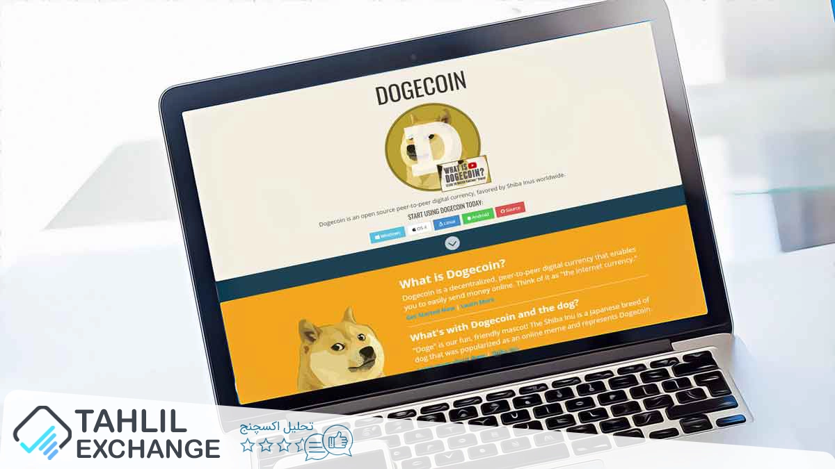 افزایش فعالیت نهنگ‌ها با خرید عظیم دوج کوین